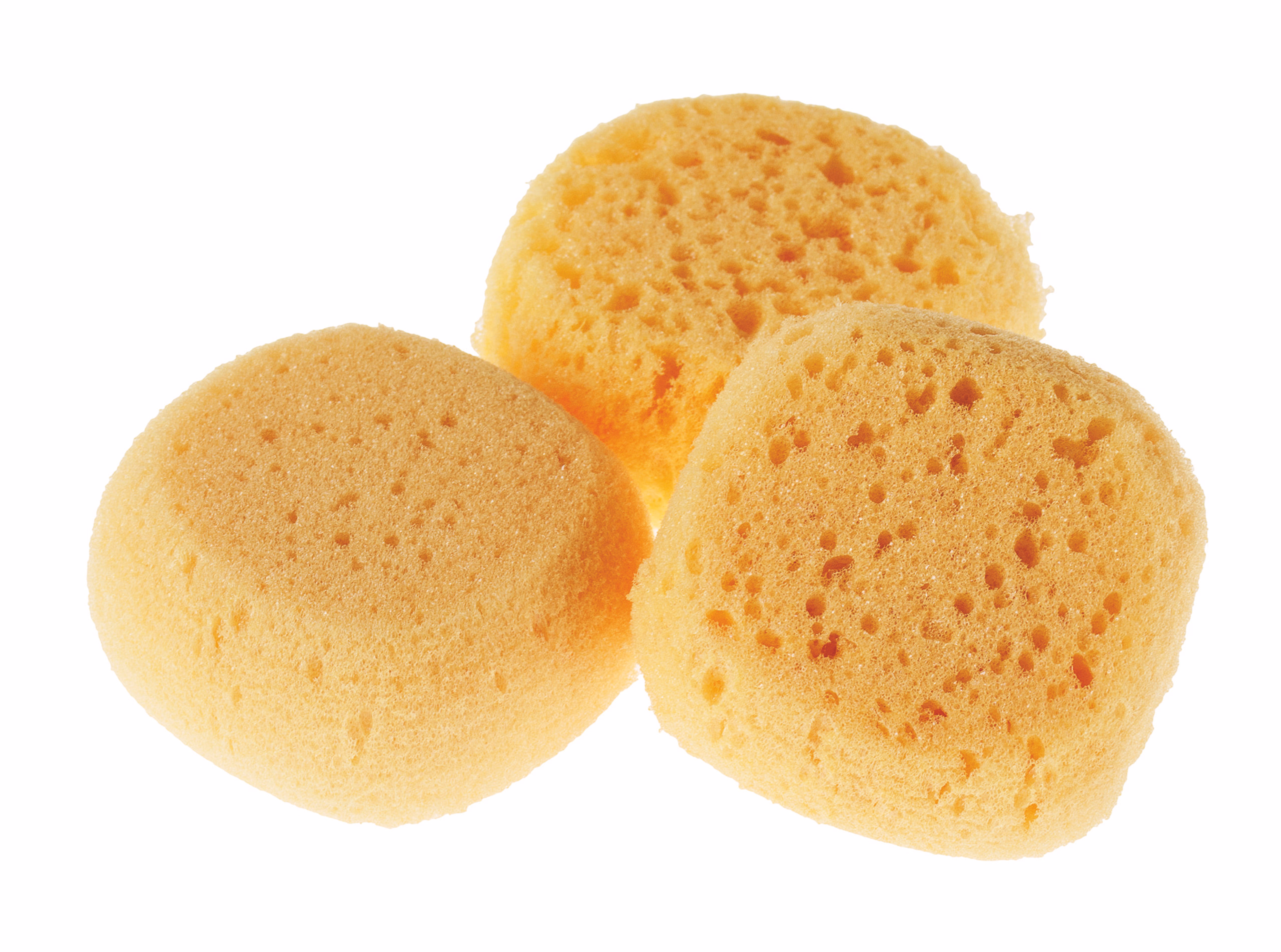 Marabu Eponges à peindre, lot de 3