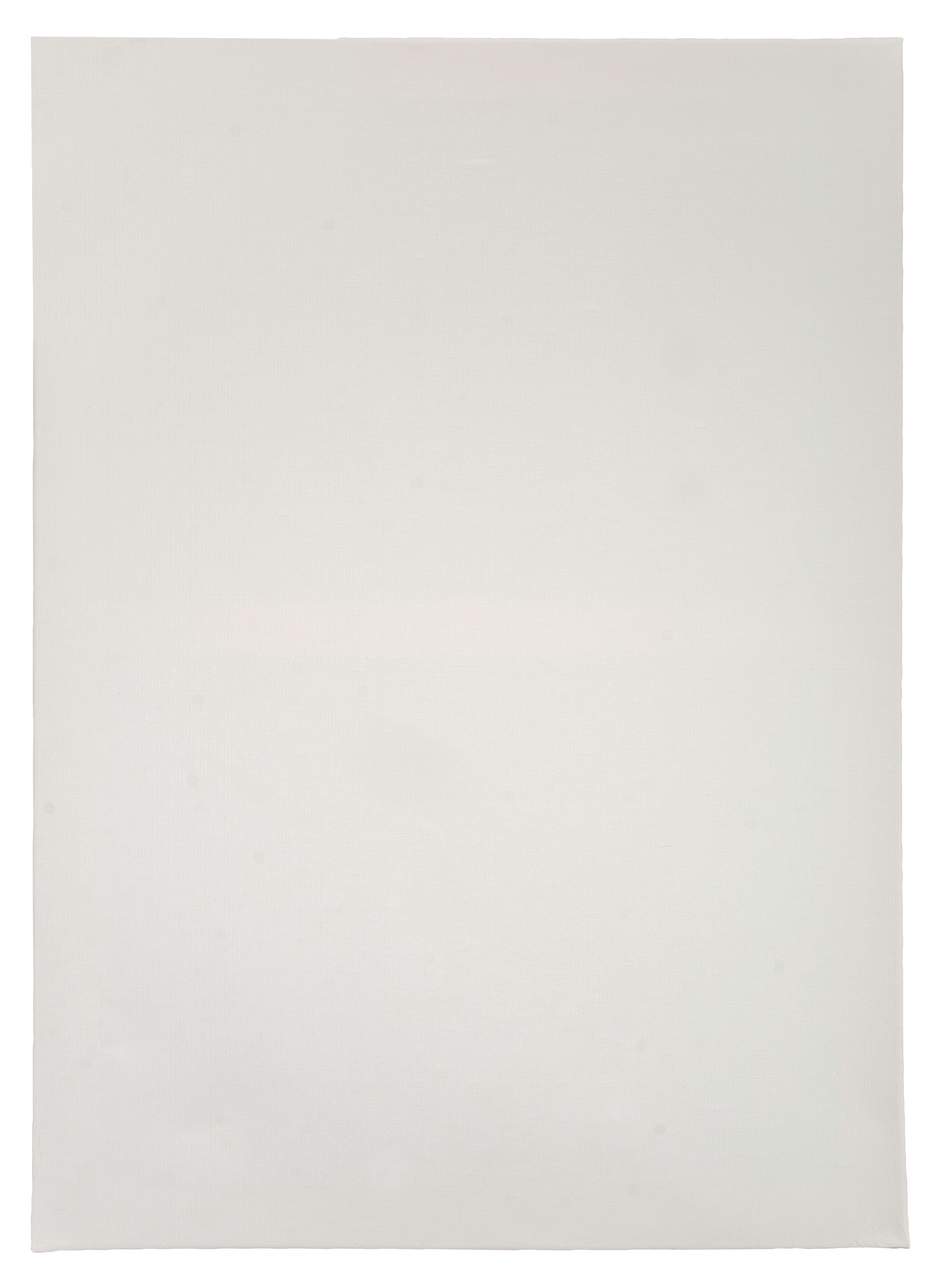 Schildersdoek/canvas Cotton 300 (50 x 70 cm)