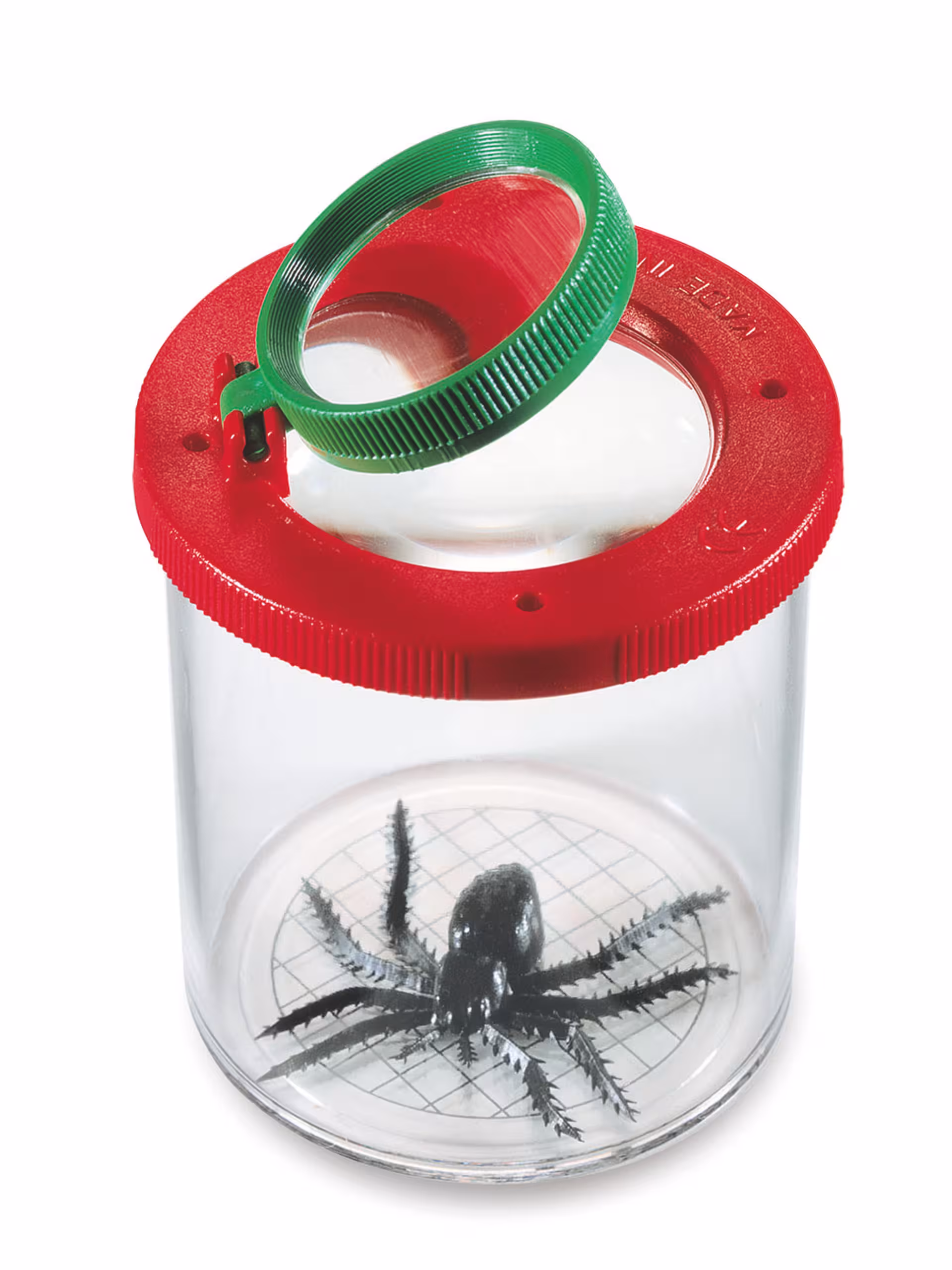 Bote lupa para observación de insectos