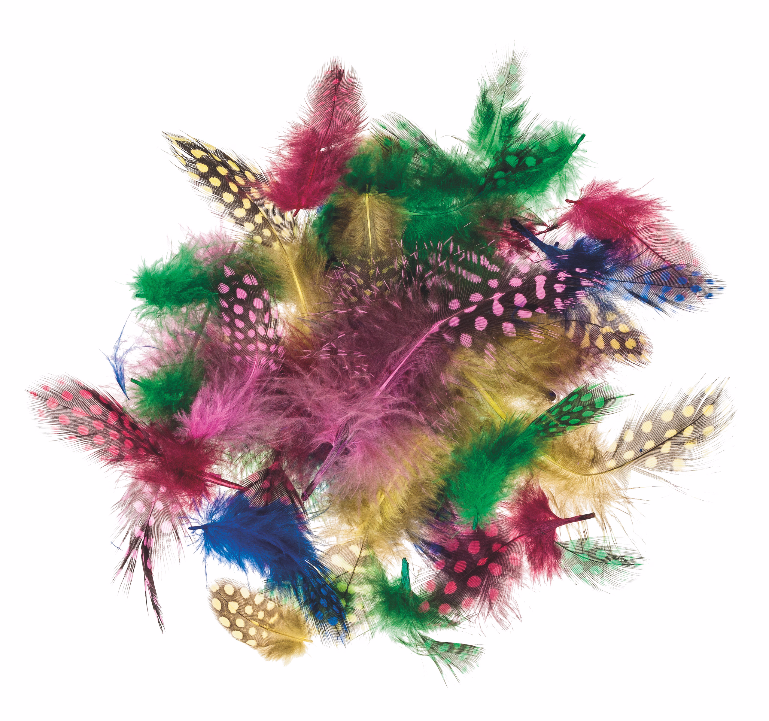 Perlhuhnfedern, 100 Stück bunt sortiert