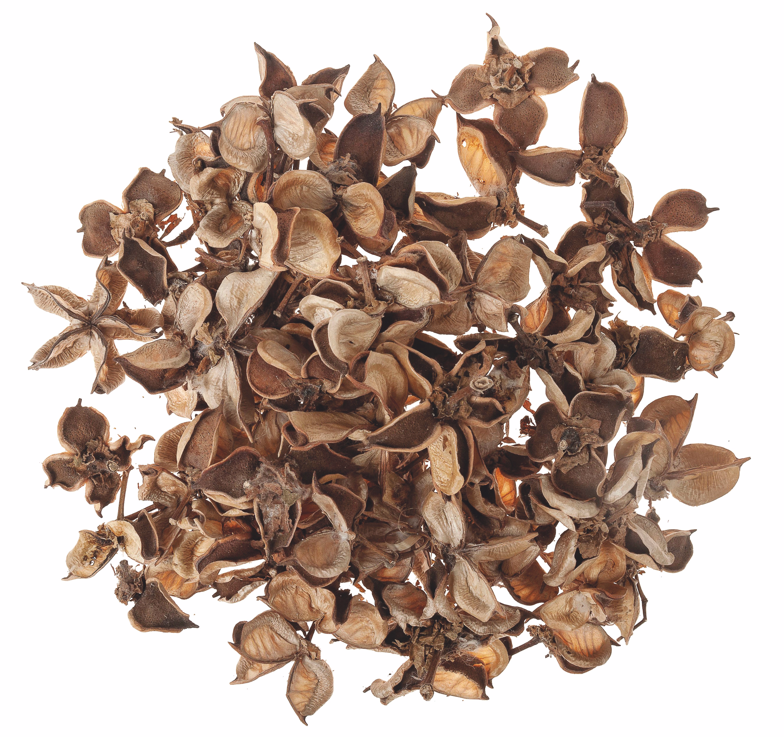 Cotton pods (150 g)