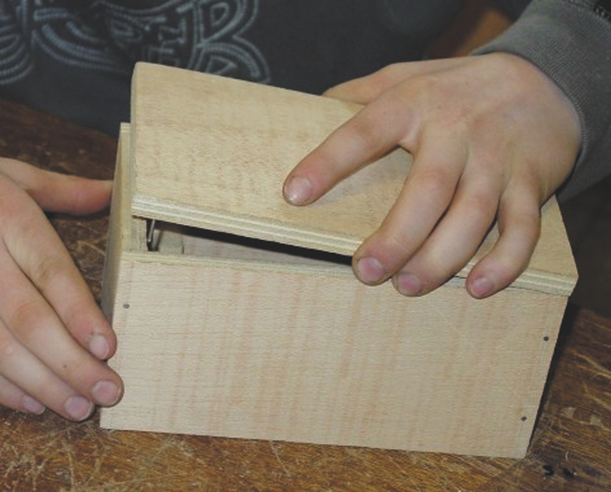 Coffret à argent avec alarme WICO/Technix & Cool