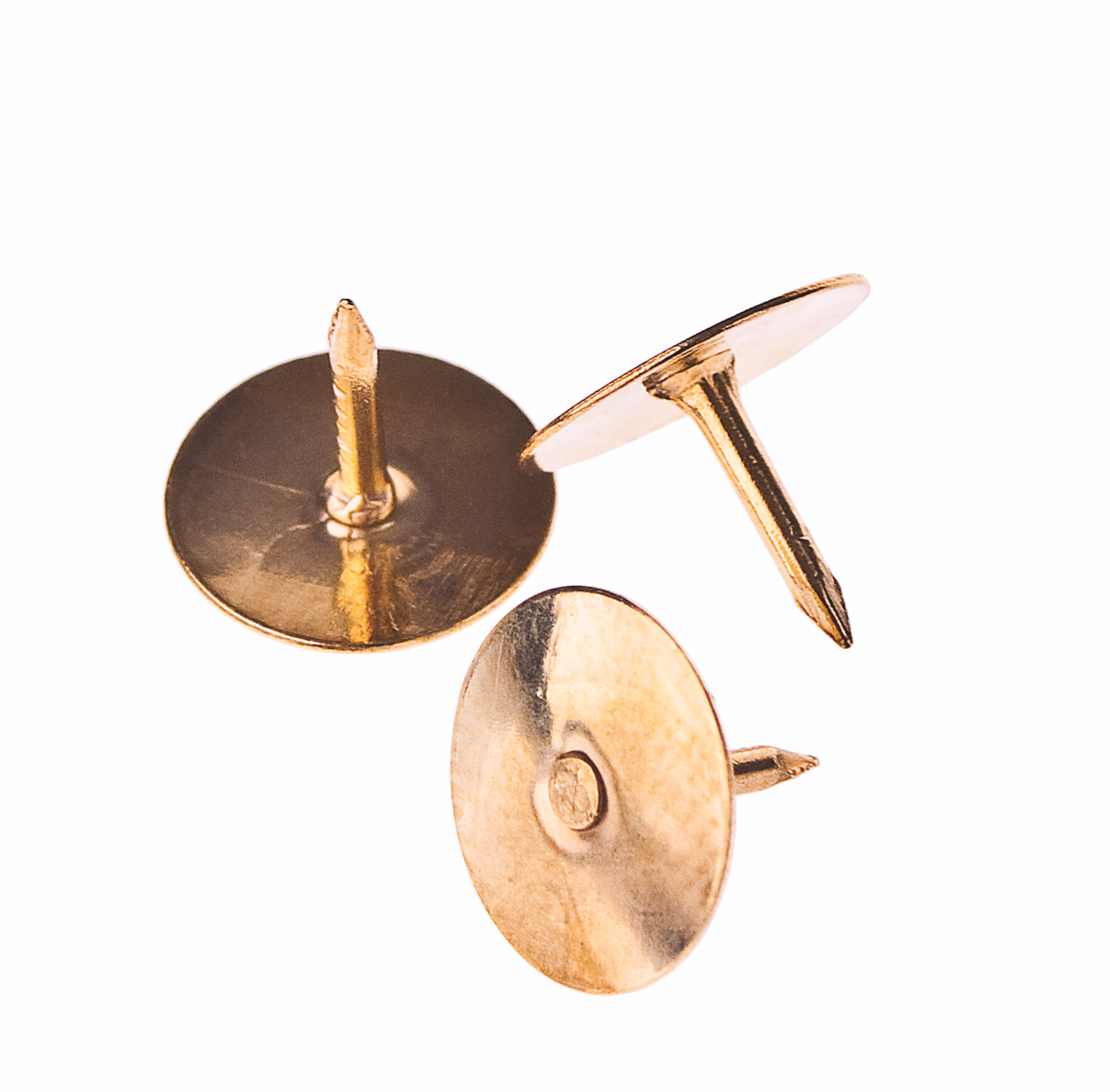 Reißnägel, 1000 Stück