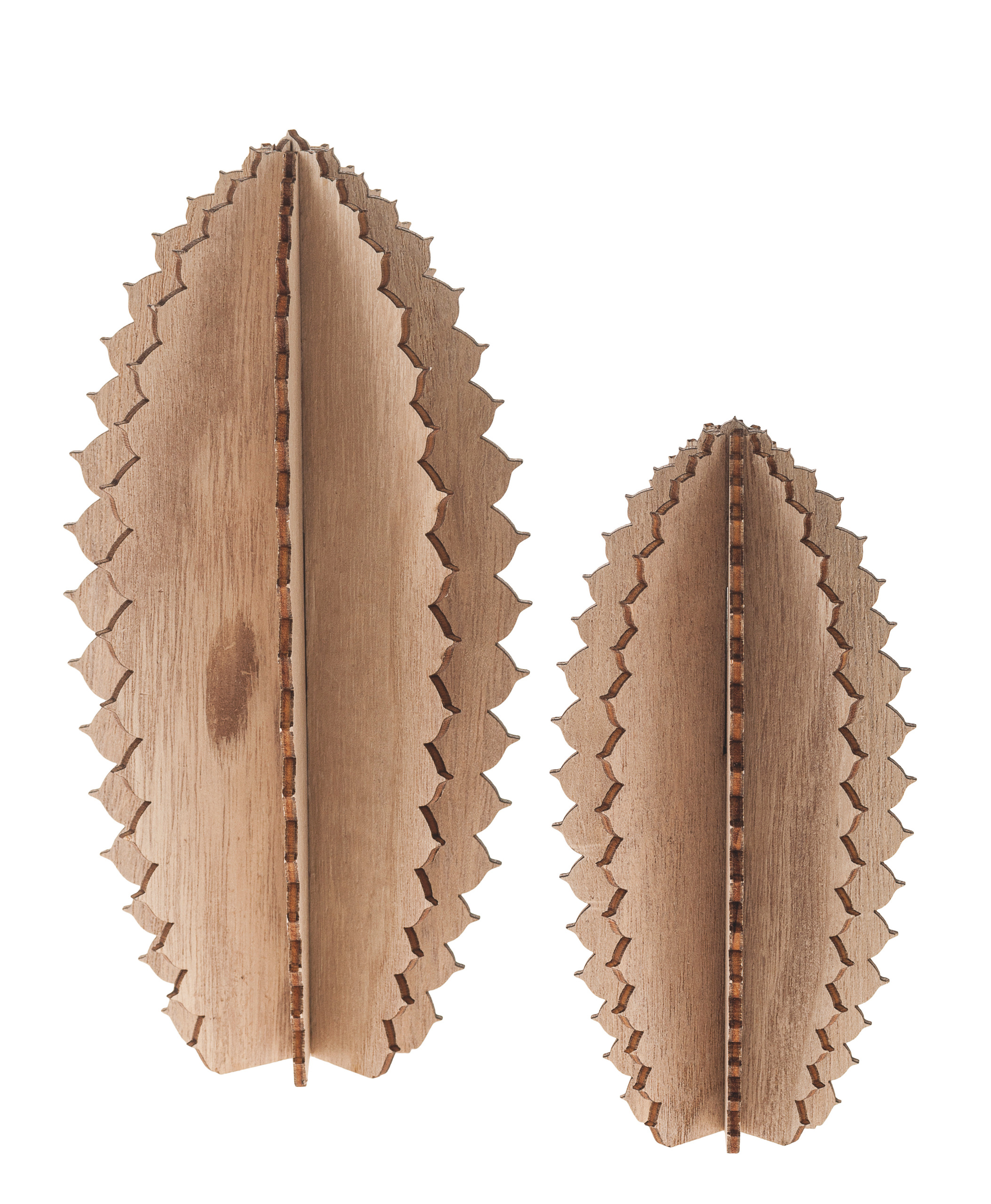 4 Piezas De Madera De Cactus Cholla De 6 Pulgadas (100% Natural, Sin Tratar) Para Acuarios, Camarones Y Terrarios