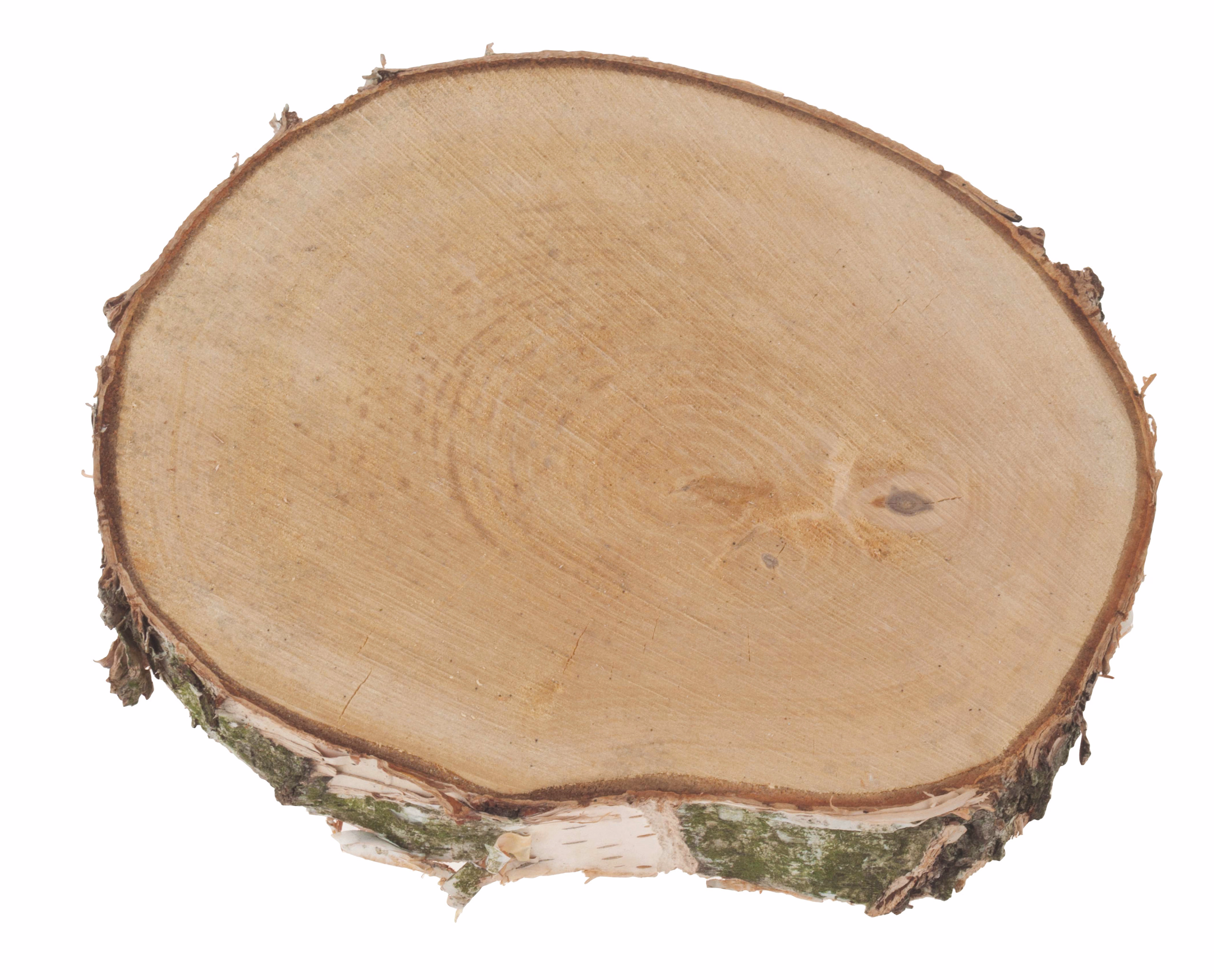 Birkenscheibe (200 - 300 mm)