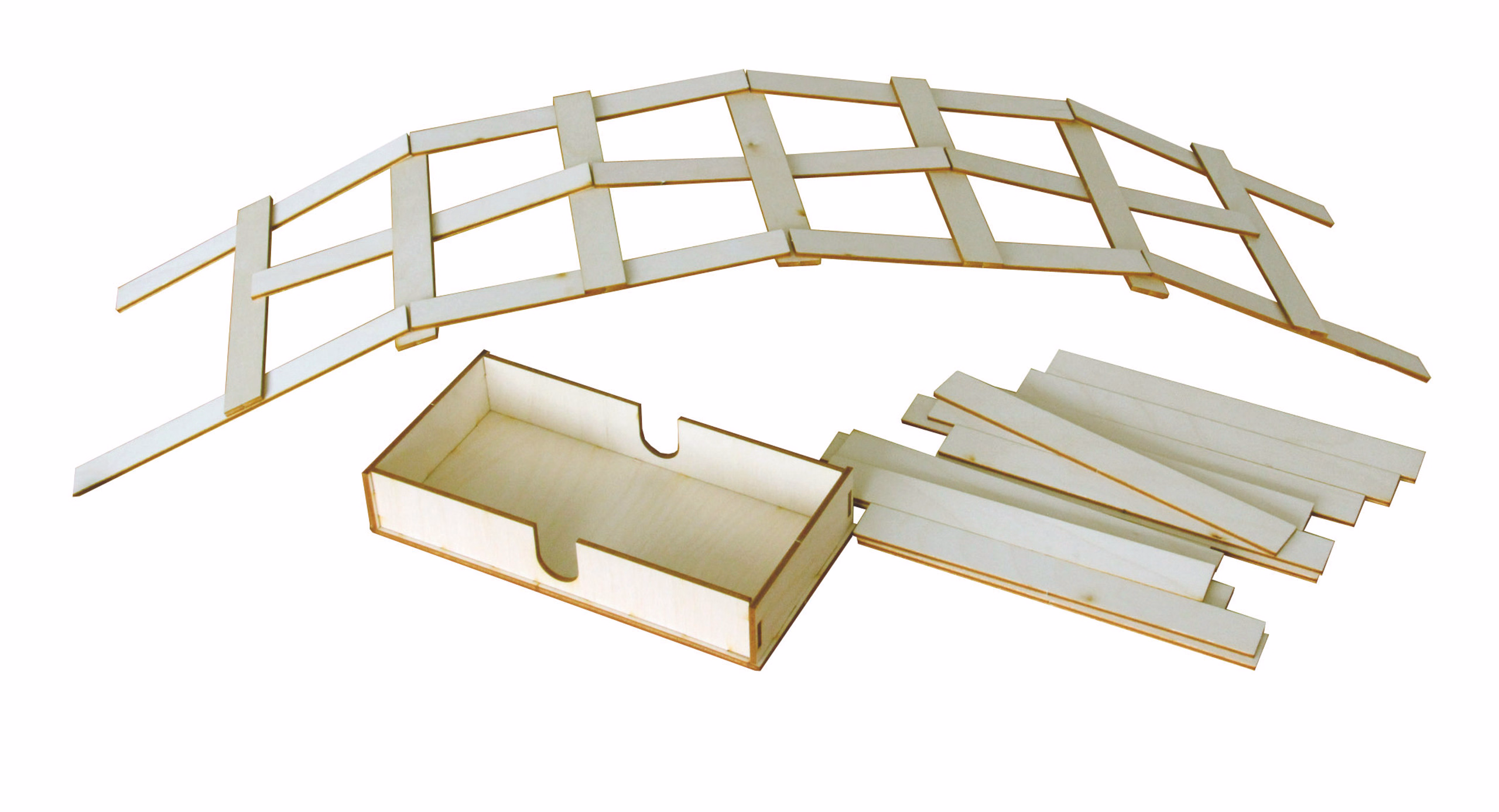 Easy-Line brug van Leonardo da Vinci